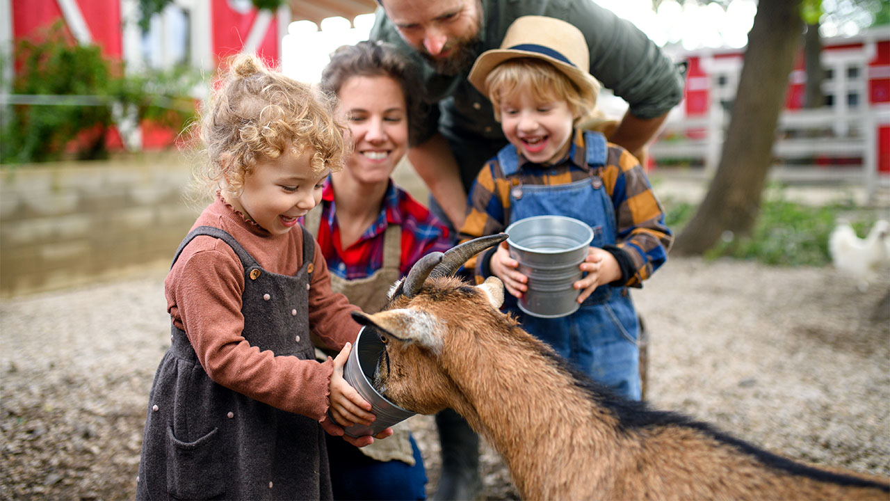 Agriculture and farming families